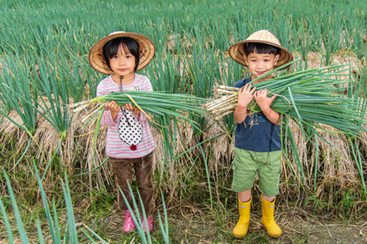Family-friendly Taiwan tour with farm stays and workshops
