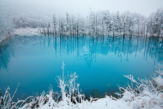 Blue-Pond-Biei