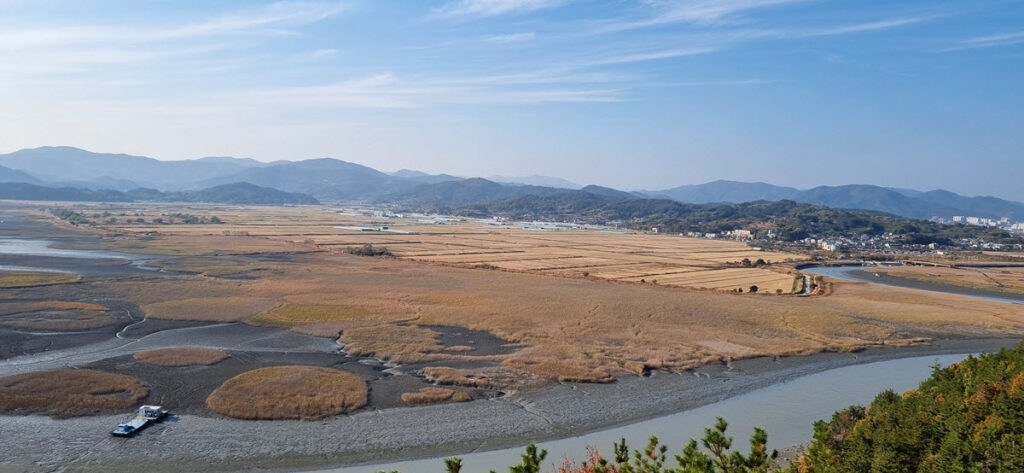 Suncheon-Wetlands
