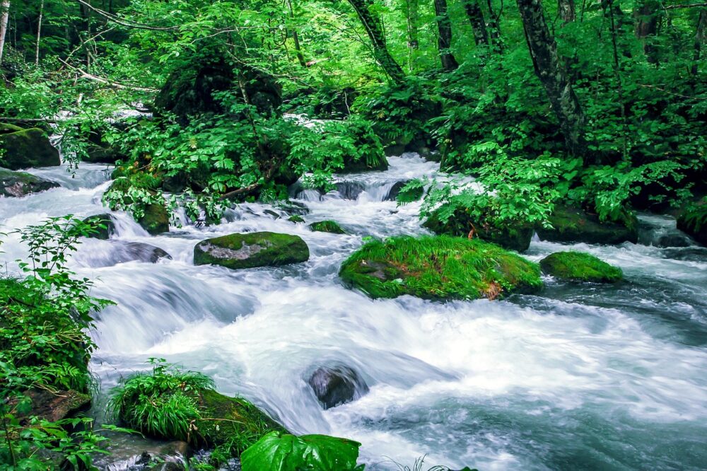 Aomori Oriase Streams