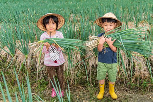 Taiwan Free and Easy - Spring Onion Farm